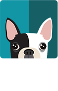 Image with missing alt attribute found on loyalshops.com
