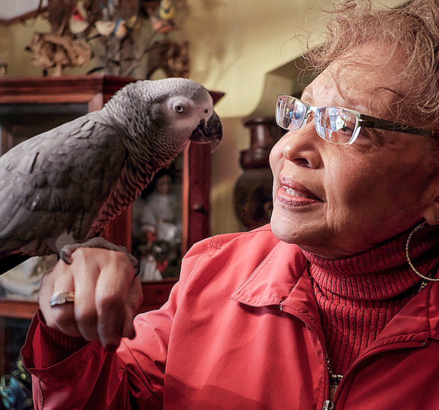 senior citizen