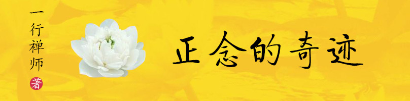 正念的奇迹