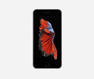 Image with missing alt attribute found on macofalltrades.com