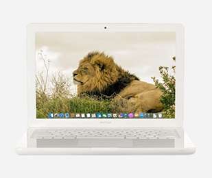 Image with missing alt attribute found on macofalltrades.com