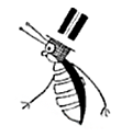 Image with missing alt attribute found on mamalisa.com