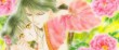 Le manga Fushigi Yugi arrive en num&eacute;rique