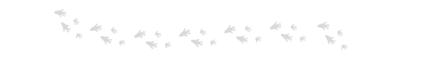 Image with missing alt attribute found on manutan.nl