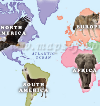 MAPS FOR KIDS