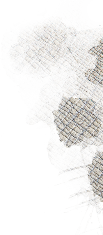 Image with missing alt attribute found on marylandzoo.org