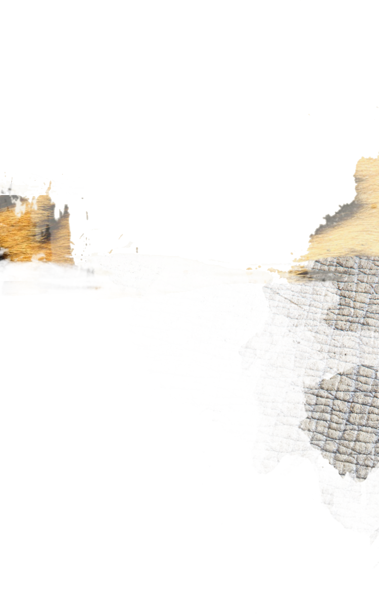 Image with missing alt attribute found on marylandzoo.org