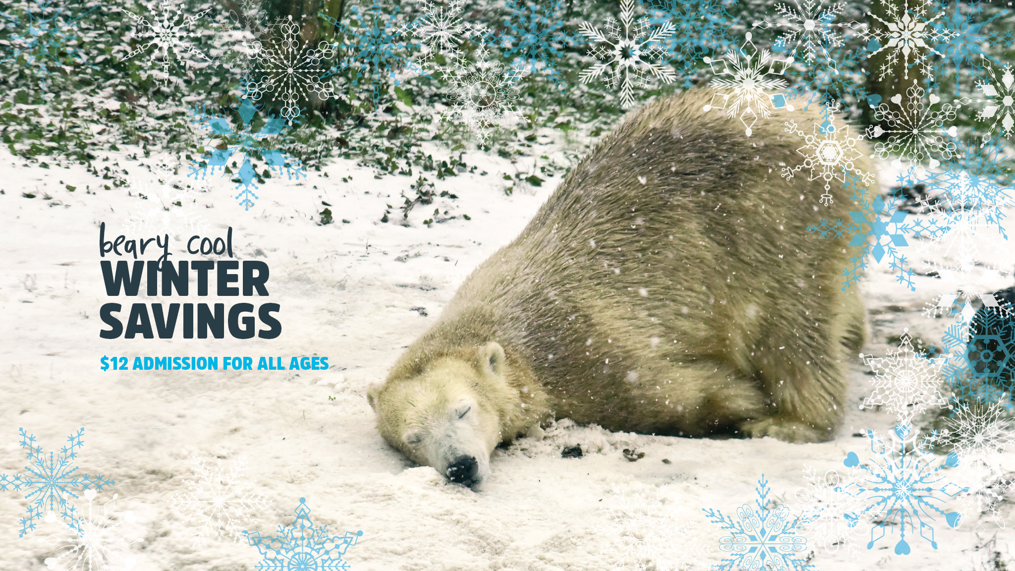 Image with missing alt attribute found on marylandzoo.org