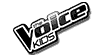 THe VOice Fan Artikel