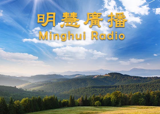 Image with missing alt attribute found on minghui.org