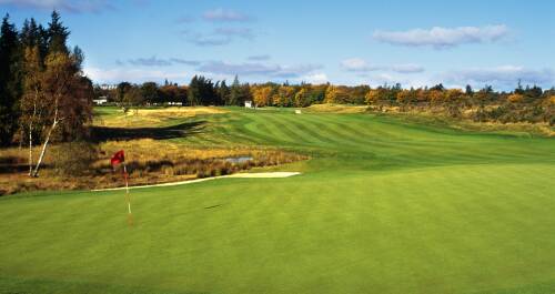 Torneos de golf