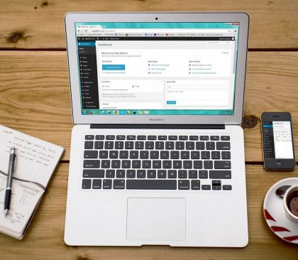 WordPress Development in Meerut