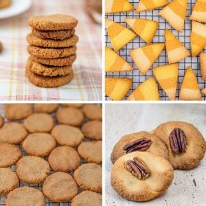 14 Best Keto Cookie Recipes &ndash; &ldquo;Super Low-Carb & Sugar Free&rdquo; &ndash; Make them at Home!