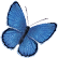 Image with missing alt attribute found on nationwidechildrens.org