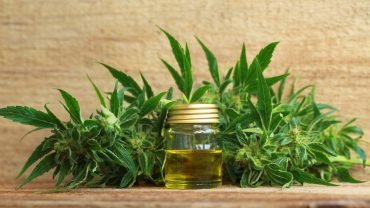 11 Surprising Health Benefits of Cannabis Essential Oil