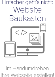Image with missing alt attribute found on netzone.ch