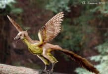 Image with missing alt attribute found on newdinosaurs.com
