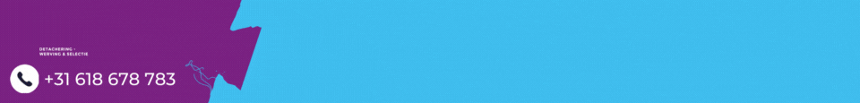 Image with missing alt attribute found on niedziela.nl