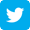 Twitter Icon