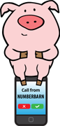 Call forwarding to your mobile phone.