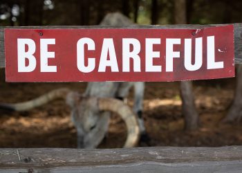 5 Zoo Animal Attacks