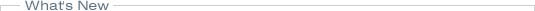 Image with missing alt attribute found on officialpayments.com