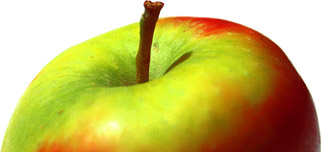 Image with missing alt attribute found on orangepippin.com