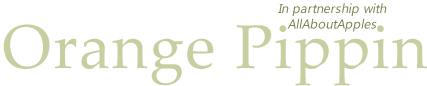Image with missing alt attribute found on orangepippin.com