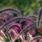 Image with missing alt attribute found on outsidepride.com