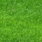 Image with missing alt attribute found on outsidepride.com