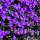 Image with missing alt attribute found on outsidepride.com