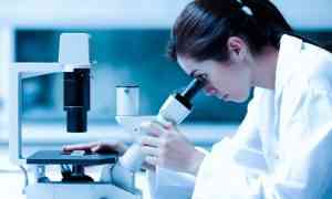 Partes del microscopio