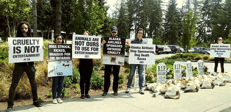 Image with missing alt attribute found on peta.org