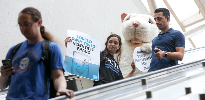 Image with missing alt attribute found on peta.org
