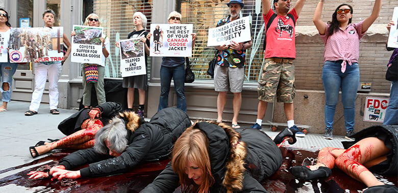 Image with missing alt attribute found on peta.org