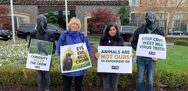Image with missing alt attribute found on peta.org