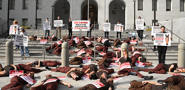 Image with missing alt attribute found on peta.org