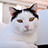 Image with missing alt attribute found on petassure.com