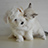 Image with missing alt attribute found on petassure.com