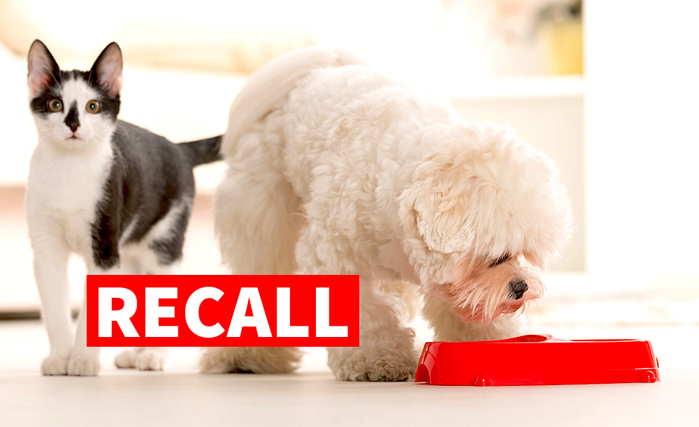 Image with missing alt attribute found on petful.com