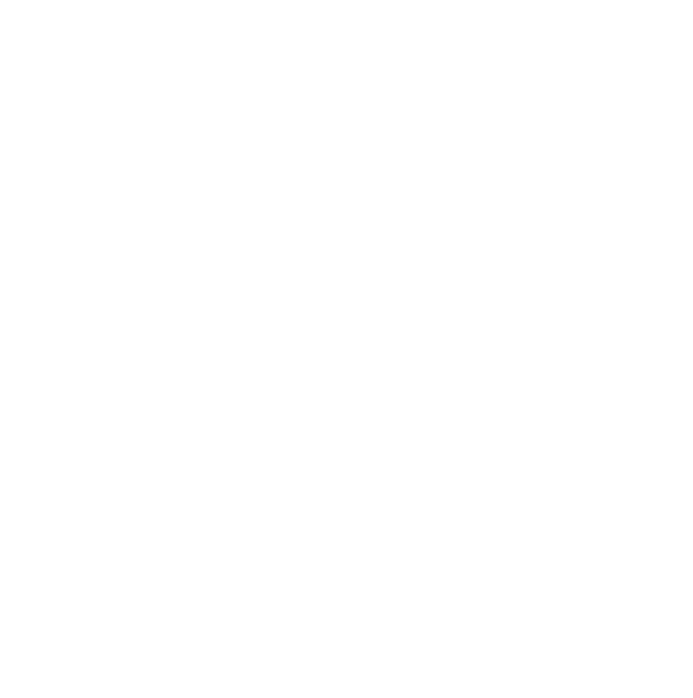 Image with missing alt attribute found on pirasys.com