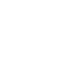 icon twitter