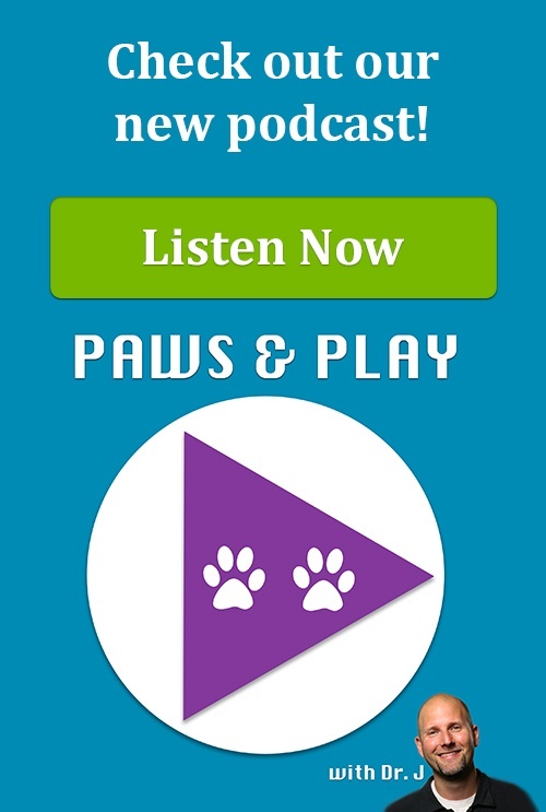 Paws and Play - the Preventive Vet Podcast