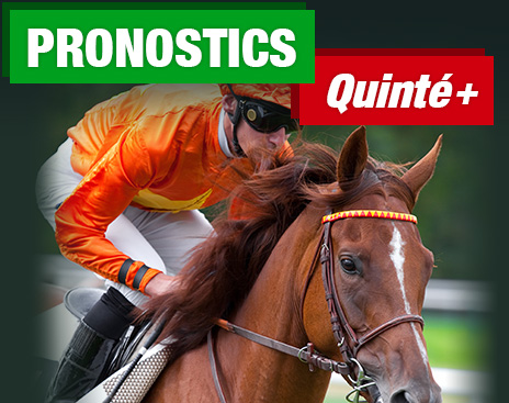 Image with missing alt attribute found on pronosoft.com