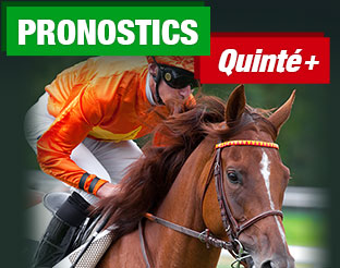 Image with missing alt attribute found on pronosoft.com