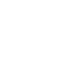 p web icon