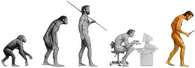 Quertime: Evolving you from ape to geek