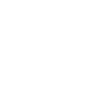 Image with missing alt attribute found on postandcourier.com