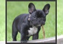 Image with missing alt attribute found on reduceimages.com