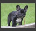 Image with missing alt attribute found on reduceimages.com